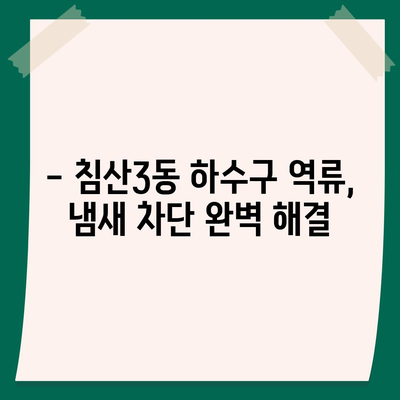 대구시 북구 침산3동 하수구막힘 | 가격 | 비용 | 기름제거 | 싱크대 | 변기 | 세면대 | 역류 | 냄새차단 | 2024 후기