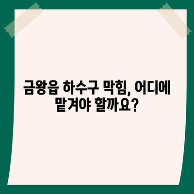 충청북도 음성군 금왕읍 하수구막힘 | 가격 | 비용 | 기름제거 | 싱크대 | 변기 | 세면대 | 역류 | 냄새차단 | 2024 후기