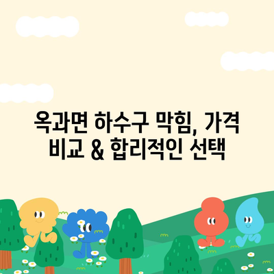 전라남도 곡성군 옥과면 하수구막힘 | 가격 | 비용 | 기름제거 | 싱크대 | 변기 | 세면대 | 역류 | 냄새차단 | 2024 후기