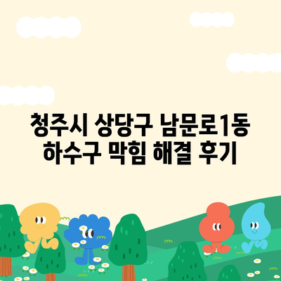 충청북도 청주시 상당구 남문로1동 하수구막힘 | 가격 | 비용 | 기름제거 | 싱크대 | 변기 | 세면대 | 역류 | 냄새차단 | 2024 후기