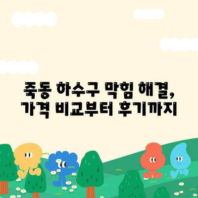 대전시 유성구 죽동 하수구막힘 | 가격 | 비용 | 기름제거 | 싱크대 | 변기 | 세면대 | 역류 | 냄새차단 | 2024 후기