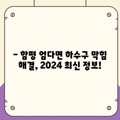 전라남도 함평군 엄다면 하수구막힘 | 가격 | 비용 | 기름제거 | 싱크대 | 변기 | 세면대 | 역류 | 냄새차단 | 2024 후기