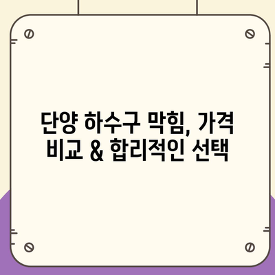 충청북도 단양군 단성면 하수구막힘 | 가격 | 비용 | 기름제거 | 싱크대 | 변기 | 세면대 | 역류 | 냄새차단 | 2024 후기