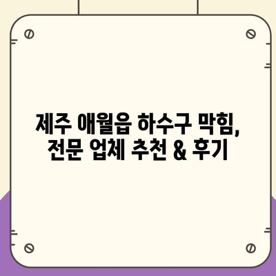 제주도 제주시 애월읍 하수구막힘 | 가격 | 비용 | 기름제거 | 싱크대 | 변기 | 세면대 | 역류 | 냄새차단 | 2024 후기