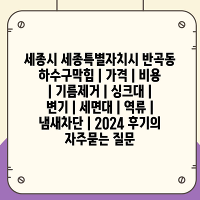 세종시 세종특별자치시 반곡동 하수구막힘 | 가격 | 비용 | 기름제거 | 싱크대 | 변기 | 세면대 | 역류 | 냄새차단 | 2024 후기