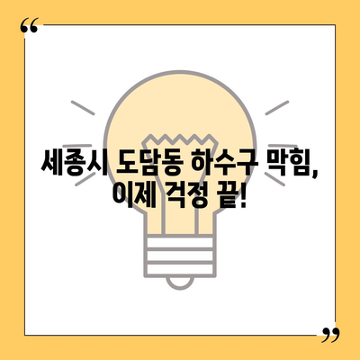 세종시 세종특별자치시 도담동 하수구막힘 | 가격 | 비용 | 기름제거 | 싱크대 | 변기 | 세면대 | 역류 | 냄새차단 | 2024 후기