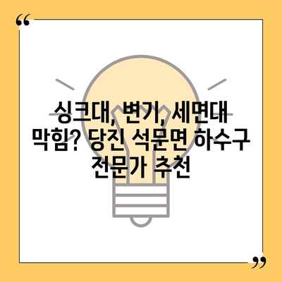 충청남도 당진시 석문면 하수구막힘 | 가격 | 비용 | 기름제거 | 싱크대 | 변기 | 세면대 | 역류 | 냄새차단 | 2024 후기