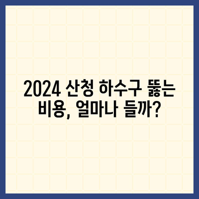 경상남도 산청군 산청읍 하수구막힘 | 가격 | 비용 | 기름제거 | 싱크대 | 변기 | 세면대 | 역류 | 냄새차단 | 2024 후기