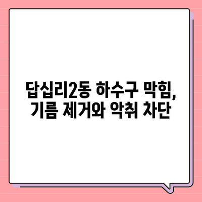 서울시 동대문구 답십리제2동 하수구막힘 | 가격 | 비용 | 기름제거 | 싱크대 | 변기 | 세면대 | 역류 | 냄새차단 | 2024 후기