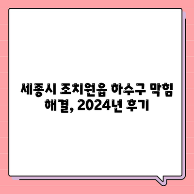 세종시 세종특별자치시 조치원읍 하수구막힘 | 가격 | 비용 | 기름제거 | 싱크대 | 변기 | 세면대 | 역류 | 냄새차단 | 2024 후기