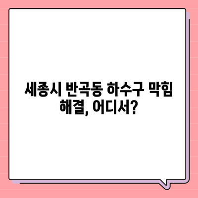 세종시 세종특별자치시 반곡동 하수구막힘 | 가격 | 비용 | 기름제거 | 싱크대 | 변기 | 세면대 | 역류 | 냄새차단 | 2024 후기