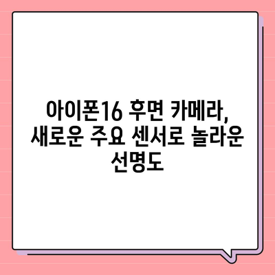 아이폰16 후면 카메라, 새로운 주요 센서로 놀라운 선명도