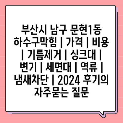 부산시 남구 문현1동 하수구막힘 | 가격 | 비용 | 기름제거 | 싱크대 | 변기 | 세면대 | 역류 | 냄새차단 | 2024 후기