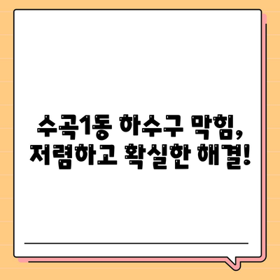 충청북도 청주시 서원구 수곡1동 하수구막힘 | 가격 | 비용 | 기름제거 | 싱크대 | 변기 | 세면대 | 역류 | 냄새차단 | 2024 후기