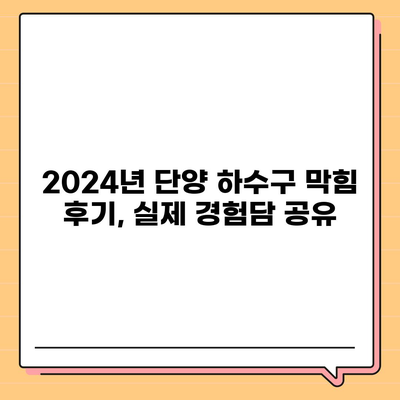 충청북도 단양군 단성면 하수구막힘 | 가격 | 비용 | 기름제거 | 싱크대 | 변기 | 세면대 | 역류 | 냄새차단 | 2024 후기