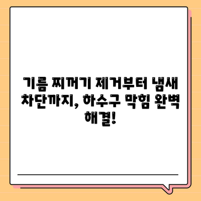 대전시 중구 오류동 하수구막힘 | 가격 | 비용 | 기름제거 | 싱크대 | 변기 | 세면대 | 역류 | 냄새차단 | 2024 후기