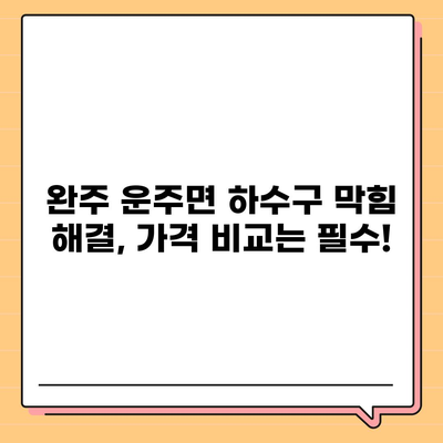 전라북도 완주군 운주면 하수구막힘 | 가격 | 비용 | 기름제거 | 싱크대 | 변기 | 세면대 | 역류 | 냄새차단 | 2024 후기