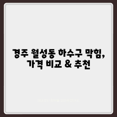 경상북도 경주시 월성동 하수구막힘 | 가격 | 비용 | 기름제거 | 싱크대 | 변기 | 세면대 | 역류 | 냄새차단 | 2024 후기