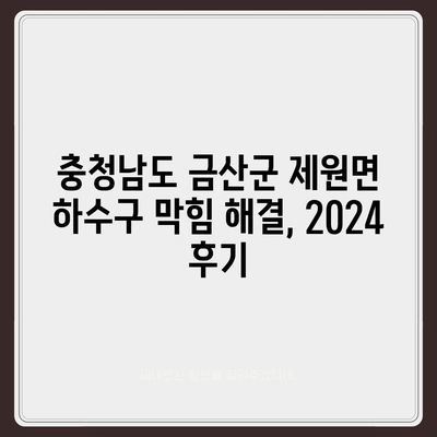 충청남도 금산군 제원면 하수구막힘 | 가격 | 비용 | 기름제거 | 싱크대 | 변기 | 세면대 | 역류 | 냄새차단 | 2024 후기