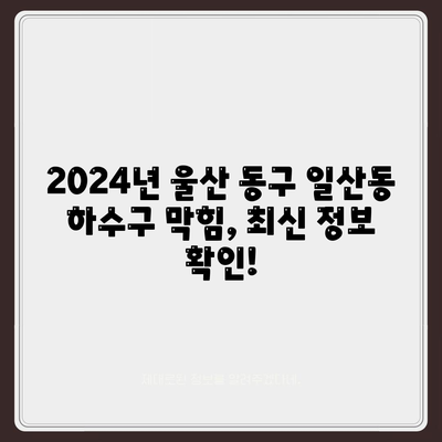 울산시 동구 일산동 하수구막힘 | 가격 | 비용 | 기름제거 | 싱크대 | 변기 | 세면대 | 역류 | 냄새차단 | 2024 후기