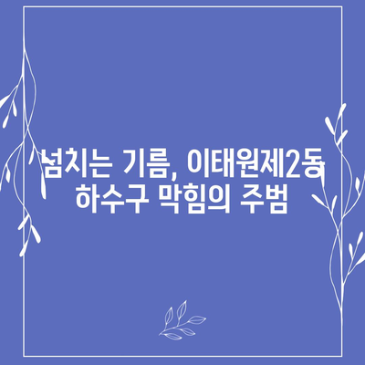 서울시 용산구 이태원제2동 하수구막힘 | 가격 | 비용 | 기름제거 | 싱크대 | 변기 | 세면대 | 역류 | 냄새차단 | 2024 후기