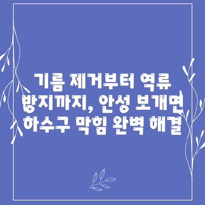 경기도 안성시 보개면 하수구막힘 | 가격 | 비용 | 기름제거 | 싱크대 | 변기 | 세면대 | 역류 | 냄새차단 | 2024 후기