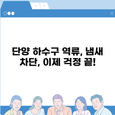 충청북도 단양군 단성면 하수구막힘 | 가격 | 비용 | 기름제거 | 싱크대 | 변기 | 세면대 | 역류 | 냄새차단 | 2024 후기