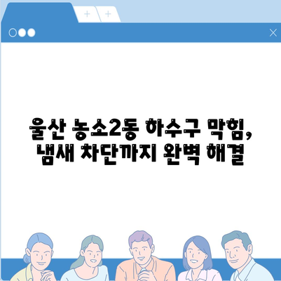 울산시 북구 농소2동 하수구막힘 | 가격 | 비용 | 기름제거 | 싱크대 | 변기 | 세면대 | 역류 | 냄새차단 | 2024 후기