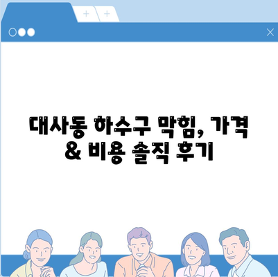 대전시 중구 대사동 하수구막힘 | 가격 | 비용 | 기름제거 | 싱크대 | 변기 | 세면대 | 역류 | 냄새차단 | 2024 후기