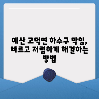 충청남도 예산군 고덕면 하수구막힘 | 가격 | 비용 | 기름제거 | 싱크대 | 변기 | 세면대 | 역류 | 냄새차단 | 2024 후기