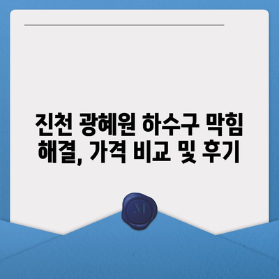 충청북도 진천군 광혜원면 하수구막힘 | 가격 | 비용 | 기름제거 | 싱크대 | 변기 | 세면대 | 역류 | 냄새차단 | 2024 후기