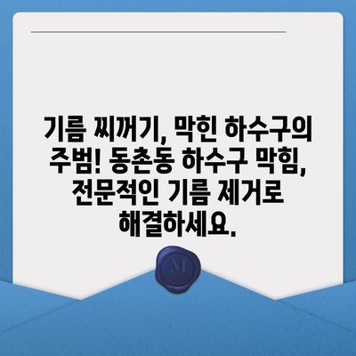 대구시 동구 동촌동 하수구막힘 | 가격 | 비용 | 기름제거 | 싱크대 | 변기 | 세면대 | 역류 | 냄새차단 | 2024 후기