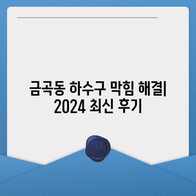 부산시 북구 금곡동 하수구막힘 | 가격 | 비용 | 기름제거 | 싱크대 | 변기 | 세면대 | 역류 | 냄새차단 | 2024 후기