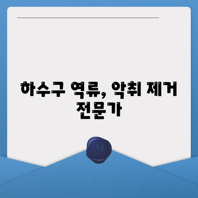 인천시 옹진군 대청면 하수구막힘 | 가격 | 비용 | 기름제거 | 싱크대 | 변기 | 세면대 | 역류 | 냄새차단 | 2024 후기