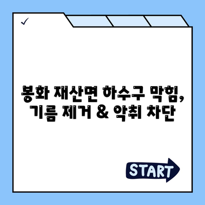 경상북도 봉화군 재산면 하수구막힘 | 가격 | 비용 | 기름제거 | 싱크대 | 변기 | 세면대 | 역류 | 냄새차단 | 2024 후기