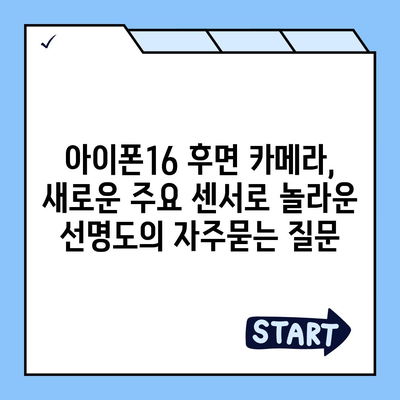 아이폰16 후면 카메라, 새로운 주요 센서로 놀라운 선명도