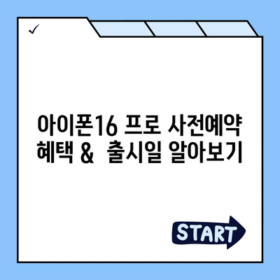 대구시 수성구 파동 아이폰16 프로 사전예약 | 출시일 | 가격 | PRO | SE1 | 디자인 | 프로맥스 | 색상 | 미니 | 개통