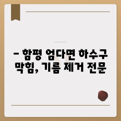 전라남도 함평군 엄다면 하수구막힘 | 가격 | 비용 | 기름제거 | 싱크대 | 변기 | 세면대 | 역류 | 냄새차단 | 2024 후기