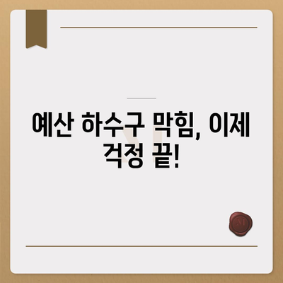 충청남도 예산군 예산읍 하수구막힘 | 가격 | 비용 | 기름제거 | 싱크대 | 변기 | 세면대 | 역류 | 냄새차단 | 2024 후기