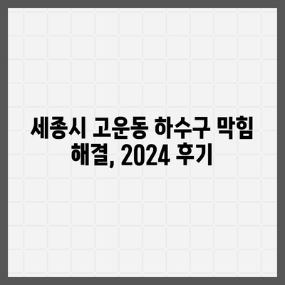 세종시 세종특별자치시 고운동 하수구막힘 | 가격 | 비용 | 기름제거 | 싱크대 | 변기 | 세면대 | 역류 | 냄새차단 | 2024 후기