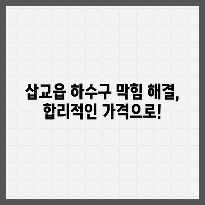 충청남도 예산군 삽교읍 하수구막힘 | 가격 | 비용 | 기름제거 | 싱크대 | 변기 | 세면대 | 역류 | 냄새차단 | 2024 후기