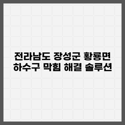 전라남도 장성군 황룡면 하수구막힘 | 가격 | 비용 | 기름제거 | 싱크대 | 변기 | 세면대 | 역류 | 냄새차단 | 2024 후기