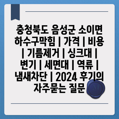 충청북도 음성군 소이면 하수구막힘 | 가격 | 비용 | 기름제거 | 싱크대 | 변기 | 세면대 | 역류 | 냄새차단 | 2024 후기