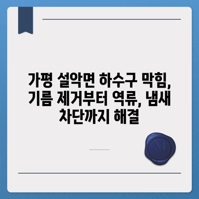 경기도 가평군 설악면 하수구막힘 | 가격 | 비용 | 기름제거 | 싱크대 | 변기 | 세면대 | 역류 | 냄새차단 | 2024 후기