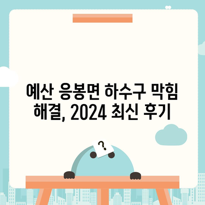 충청남도 예산군 응봉면 하수구막힘 | 가격 | 비용 | 기름제거 | 싱크대 | 변기 | 세면대 | 역류 | 냄새차단 | 2024 후기