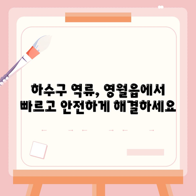 강원도 영월군 영월읍 하수구막힘 | 가격 | 비용 | 기름제거 | 싱크대 | 변기 | 세면대 | 역류 | 냄새차단 | 2024 후기