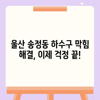 울산시 북구 송정동 하수구막힘 | 가격 | 비용 | 기름제거 | 싱크대 | 변기 | 세면대 | 역류 | 냄새차단 | 2024 후기