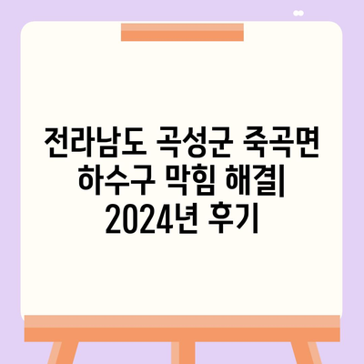 전라남도 곡성군 죽곡면 하수구막힘 | 가격 | 비용 | 기름제거 | 싱크대 | 변기 | 세면대 | 역류 | 냄새차단 | 2024 후기