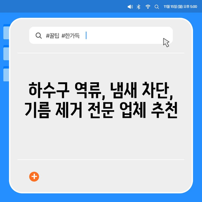 전라북도 진안군 마령면 하수구막힘 | 가격 | 비용 | 기름제거 | 싱크대 | 변기 | 세면대 | 역류 | 냄새차단 | 2024 후기