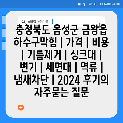 충청북도 음성군 금왕읍 하수구막힘 | 가격 | 비용 | 기름제거 | 싱크대 | 변기 | 세면대 | 역류 | 냄새차단 | 2024 후기